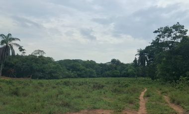 SE VENDE FINCA GANADERA DE 150 HECTÁREAS EN PORE – CASANARE