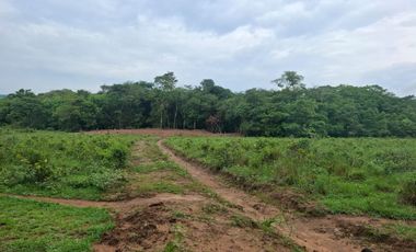 SE VENDE FINCA GANADERA DE 150 HECTÁREAS EN PORE – CASANARE