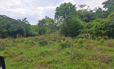 SE VENDE FINCA GANADERA DE 150 HECTÁREAS EN PORE – CASANARE