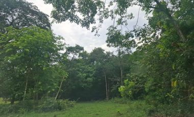 SE VENDE FINCA GANADERA DE 150 HECTÁREAS EN PORE – CASANARE