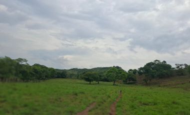SE VENDE FINCA GANADERA DE 150 HECTÁREAS EN PORE – CASANARE