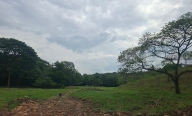 SE VENDE FINCA GANADERA DE 150 HECTÁREAS EN PORE – CASANARE
