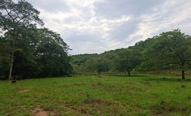 SE VENDE FINCA GANADERA DE 150 HECTÁREAS EN PORE – CASANARE