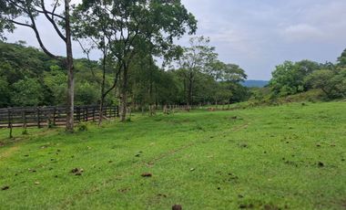 SE VENDE FINCA GANADERA DE 150 HECTÁREAS EN PORE – CASANARE