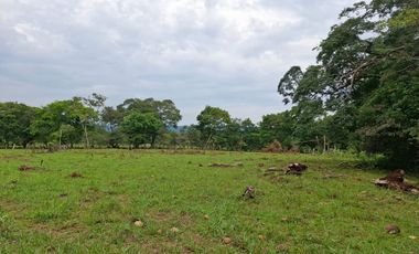 SE VENDE FINCA GANADERA DE 150 HECTÁREAS EN PORE – CASANARE