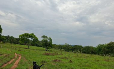 SE VENDE FINCA GANADERA DE 150 HECTÁREAS EN PORE – CASANARE