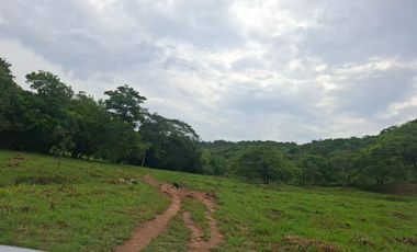 SE VENDE FINCA GANADERA DE 150 HECTÁREAS EN PORE – CASANARE