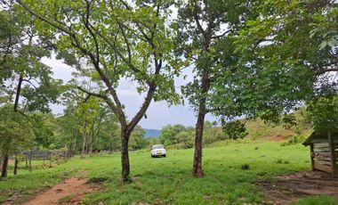 SE VENDE FINCA GANADERA DE 150 HECTÁREAS EN PORE – CASANARE