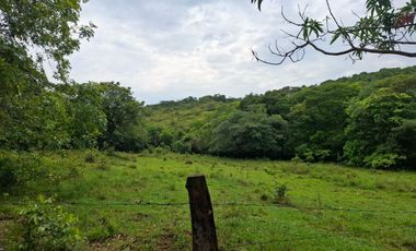 SE VENDE FINCA GANADERA DE 150 HECTÁREAS EN PORE – CASANARE