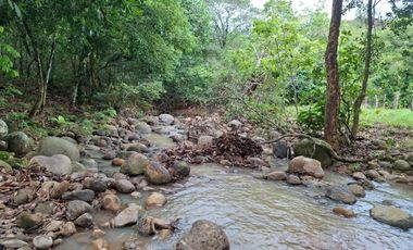 SE VENDE FINCA GANADERA DE 150 HECTÁREAS EN PORE – CASANARE
