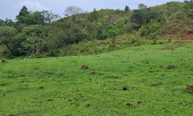 SE VENDE FINCA GANADERA DE 150 HECTÁREAS EN PORE – CASANARE