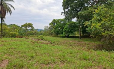 SE VENDE FINCA GANADERA DE 150 HECTÁREAS EN PORE – CASANARE