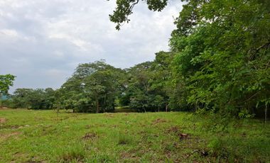 SE VENDE FINCA GANADERA DE 150 HECTÁREAS EN PORE – CASANARE