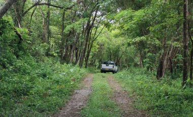 SE VENDE FINCA GANADERA DE 150 HECTÁREAS EN PORE – CASANARE