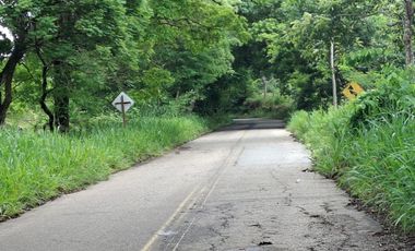 SE VENDE FINCA GANADERA DE 150 HECTÁREAS EN PORE – CASANARE