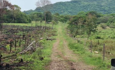SE VENDE FINCA GANADERA DE 150 HECTÁREAS EN PORE – CASANARE