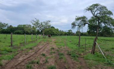 SE VENDE FINCA PRODUCTIVA DE 34 HECTÁREAS EN PORE – CASANARE