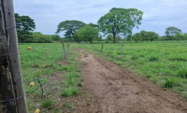 SE VENDE FINCA PRODUCTIVA DE 34 HECTÁREAS EN PORE – CASANARE