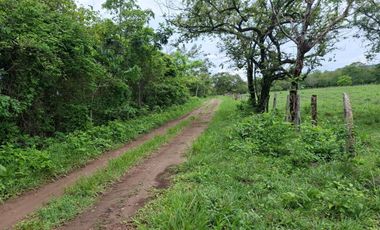 SE VENDE FINCA PRODUCTIVA DE 34 HECTÁREAS EN PORE – CASANARE