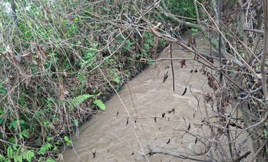 SE VENDE FINCA PRODUCTIVA DE 34 HECTÁREAS EN PORE – CASANARE