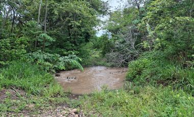 SE VENDE FINCA PRODUCTIVA DE 34 HECTÁREAS EN PORE – CASANARE