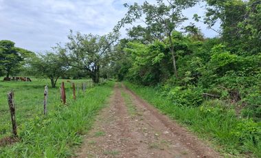 SE VENDE FINCA PRODUCTIVA DE 34 HECTÁREAS EN PORE – CASANARE