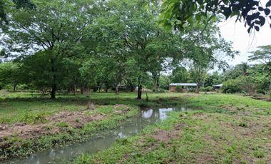 SE VENDE FINCA PRODUCTIVA DE 34 HECTÁREAS EN PORE – CASANARE