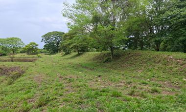 SE VENDE FINCA PRODUCTIVA DE 34 HECTÁREAS EN PORE – CASANARE