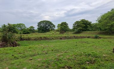 SE VENDE FINCA PRODUCTIVA DE 34 HECTÁREAS EN PORE – CASANARE