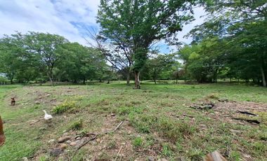 SE VENDE FINCA PRODUCTIVA DE 34 HECTÁREAS EN PORE – CASANARE