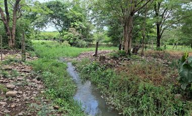 SE VENDE FINCA PRODUCTIVA DE 34 HECTÁREAS EN PORE – CASANARE