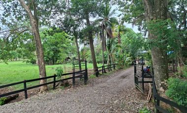 SE VENDE FINCA PRODUCTIVA DE 34 HECTÁREAS EN PORE – CASANARE