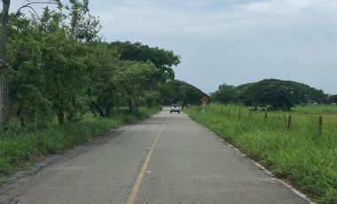 SE VENDE FINCA PRODUCTIVA DE 34 HECTÁREAS EN PORE – CASANARE