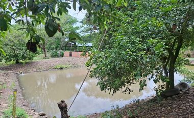 SE VENDE FINCA PRODUCTIVA DE 34 HECTÁREAS EN PORE – CASANARE