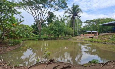 SE VENDE FINCA PRODUCTIVA DE 34 HECTÁREAS EN PORE – CASANARE