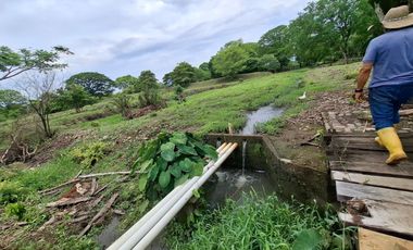SE VENDE FINCA PRODUCTIVA DE 34 HECTÁREAS EN PORE – CASANARE