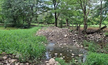 SE VENDE FINCA PRODUCTIVA DE 34 HECTÁREAS EN PORE – CASANARE