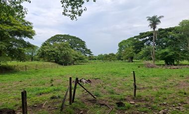 SE VENDE FINCA PRODUCTIVA DE 34 HECTÁREAS EN PORE – CASANARE