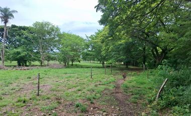 SE VENDE FINCA PRODUCTIVA DE 34 HECTÁREAS EN PORE – CASANARE