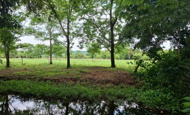 SE VENDE FINCA PRODUCTIVA DE 34 HECTÁREAS EN PORE – CASANARE