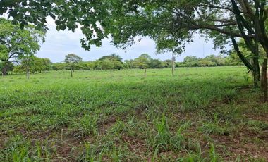 SE VENDE FINCA PRODUCTIVA DE 34 HECTÁREAS EN PORE – CASANARE
