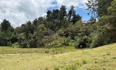 Finca con abundantes aguas en San Félix