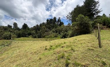 Finca con abundantes aguas en San Félix