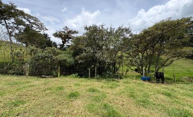 Finca con abundantes aguas en San Félix