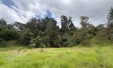 Finca con abundantes aguas en San Félix