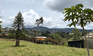 Finca con abundantes aguas en San Félix
