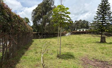 Finca con abundantes aguas en San Félix