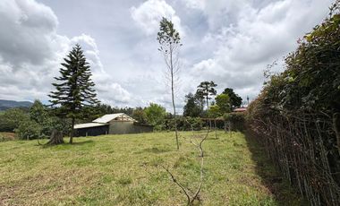 Finca con abundantes aguas en San Félix