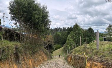Finca con abundantes aguas en San Félix
