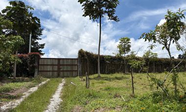 Finca con abundantes aguas en San Félix